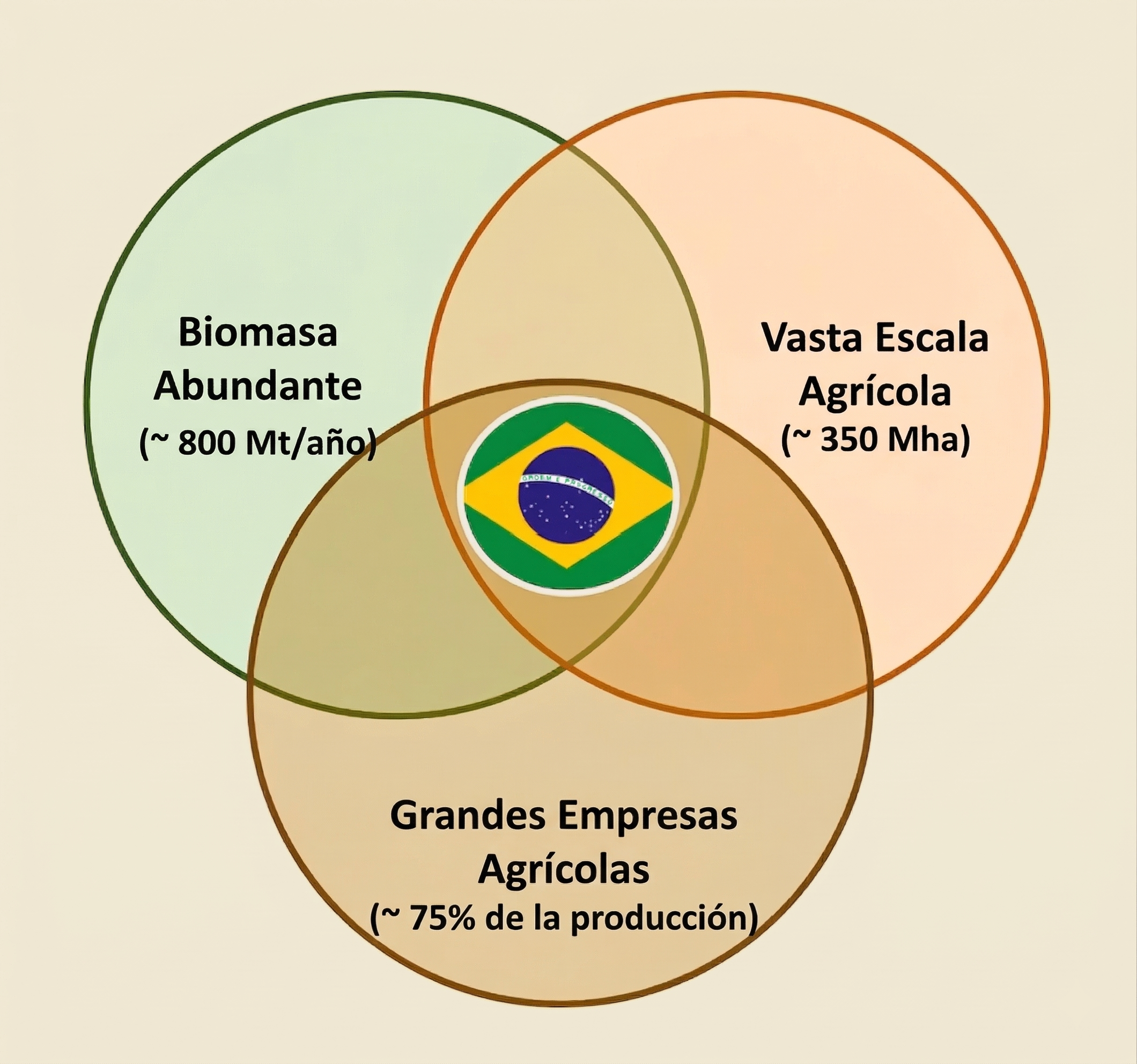 Diagrama de Venn que muestra por qu&eacute; Brasil es clave para el biochar