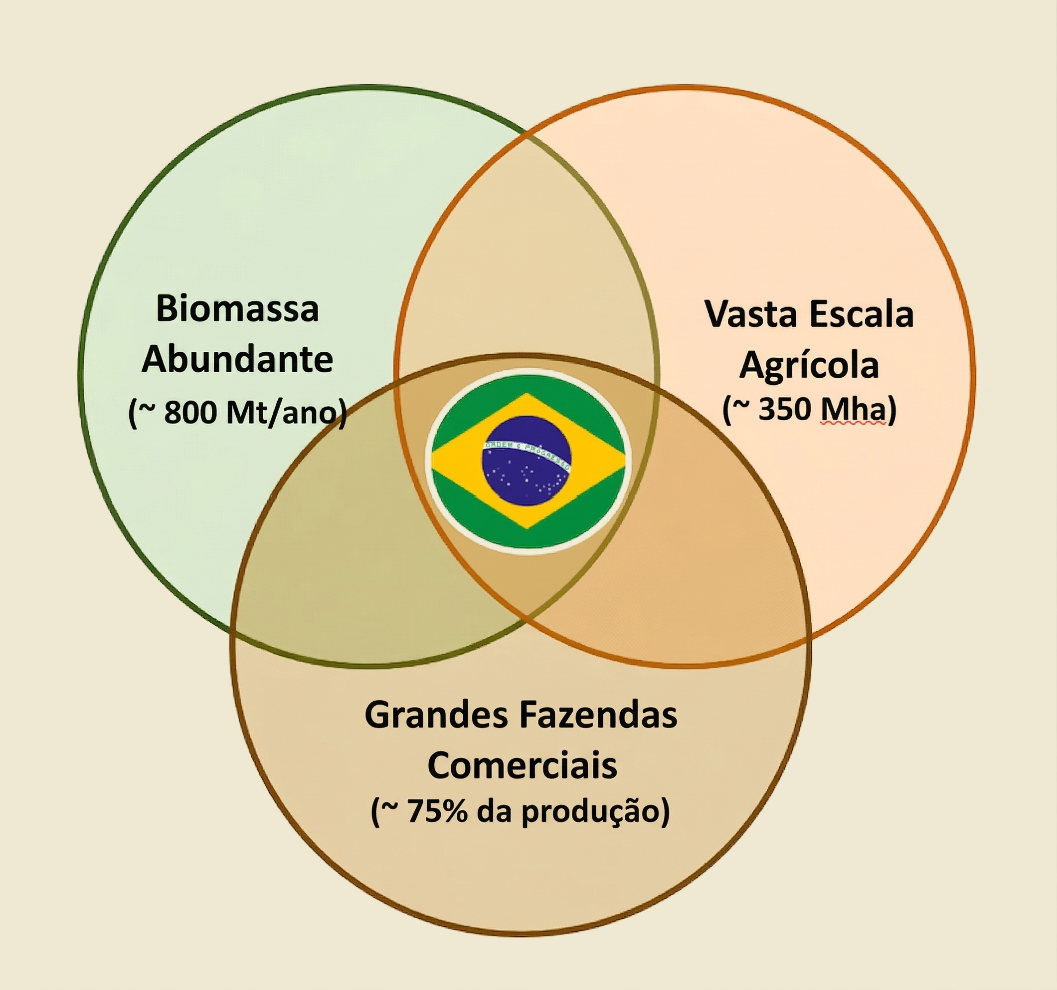 Diagrama de Venn mostrando por que o Brasil &eacute; chave para o biochar